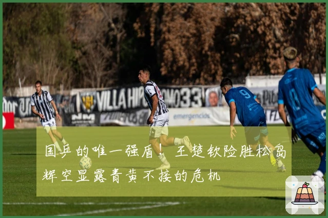 国乒的唯一强盾！王楚钦险胜松岛辉空显露青黄不接的危机