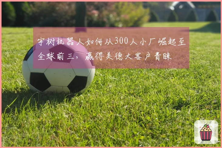 宇树机器人如何从300人小厂崛起至全球前三，赢得美德大客户青睐